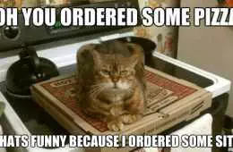 Funny Ordered Some Sits