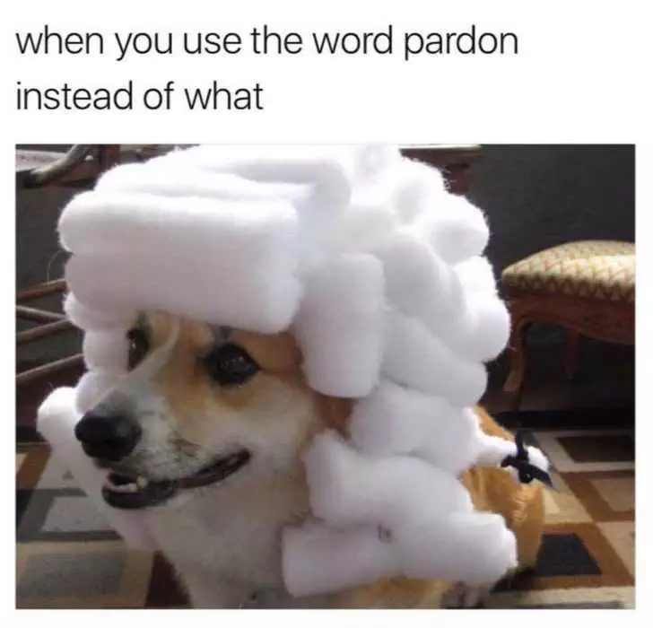Funny Pardon