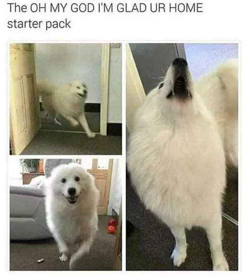 Funny Picture Pack