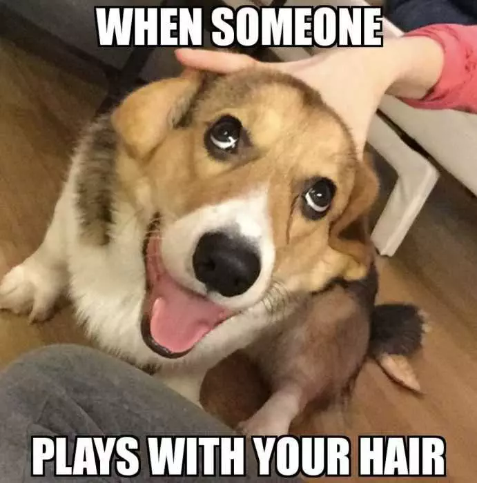 Funny Plays With Your Hair