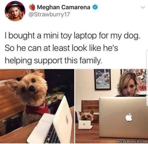 Funny-Support-This-Family Funny Support This Family