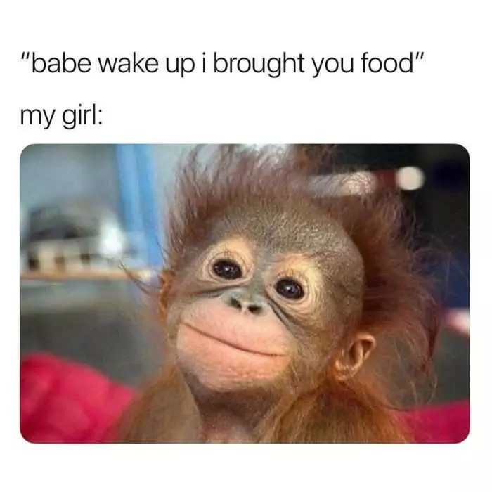 Funny Wake Up Food