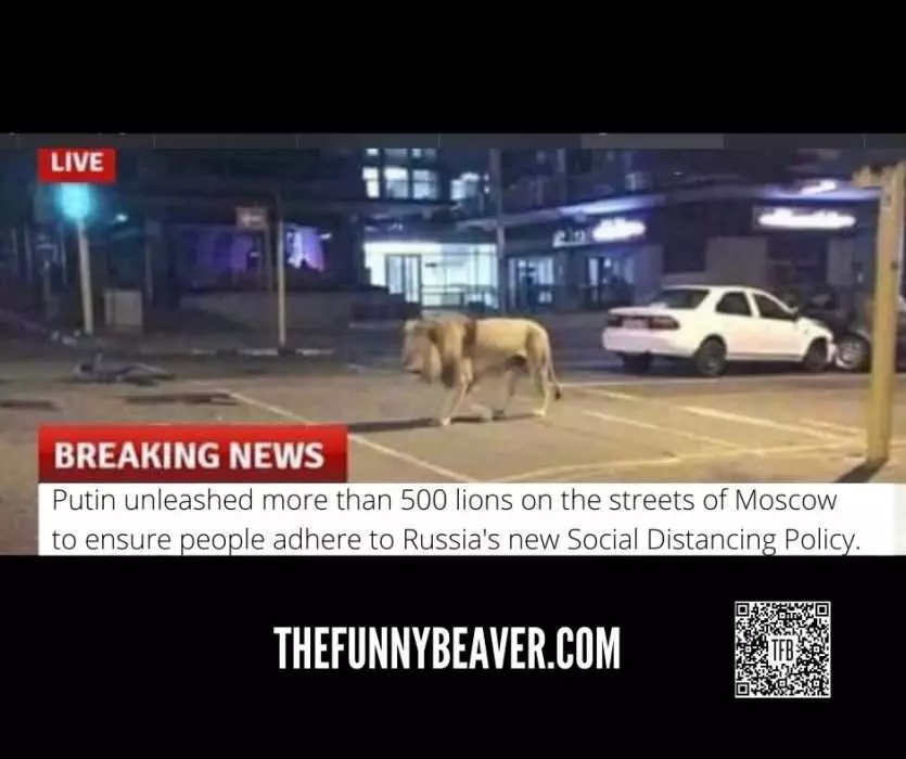 Social-Distancing-Enforcer Coronavirus Meme Featuring A Lion On The Streets Of Moscow To Enforce Curfew