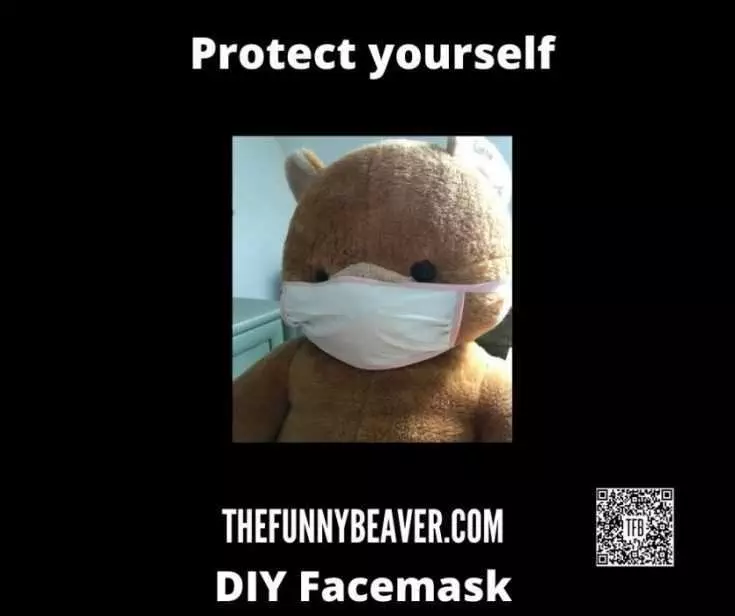 Diy Face Mask Finished Product
