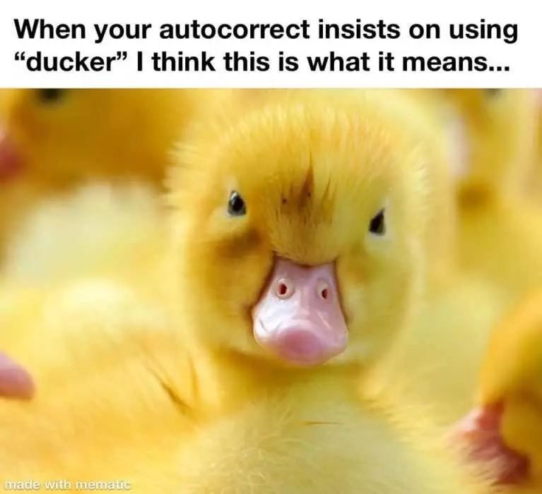 Funny Angry Ducker