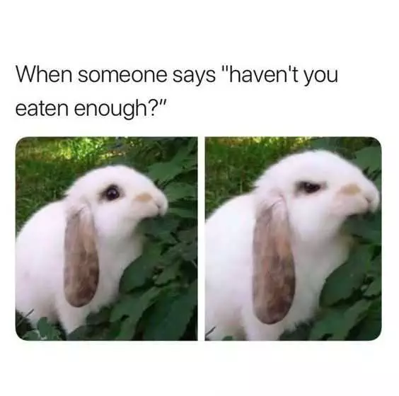 Funny Angry Eat