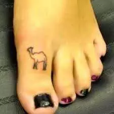 Funny Camel Toe