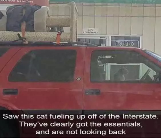 Funny Cat Fueling