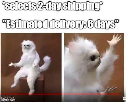 Funny Amazon Memes  Amazon 2 Day Shipping