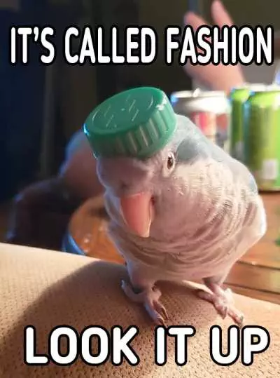 Funny Fashion