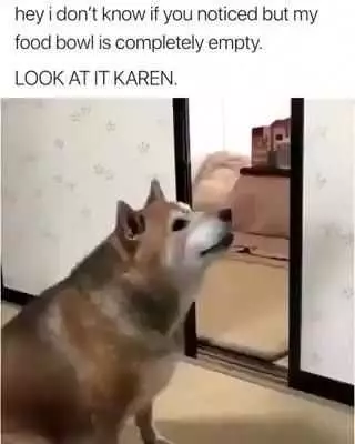 Funny Look At It Karen