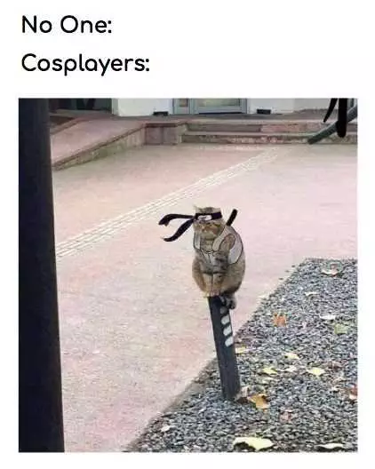 Funny No One Cosplay