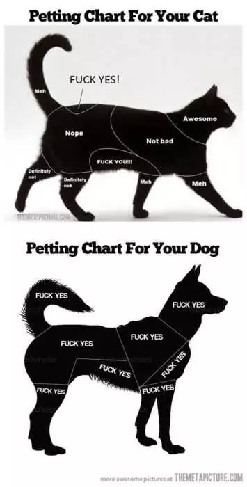 Funny Petting Chart