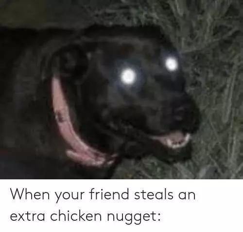 Funny Steals Nugget