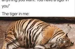 Funny Tiger In Me