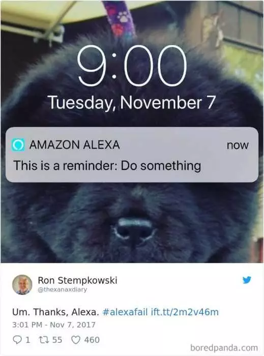 Funny Amazon Memes  Alexa Useful