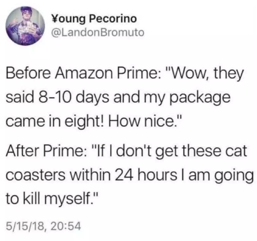 Funny Amazon Memes  Raising The Bar With Prime