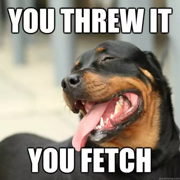 Funny You Threw You Fetch