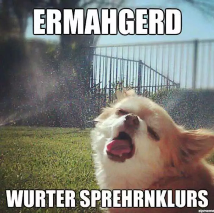 Funy Water Sprinklers