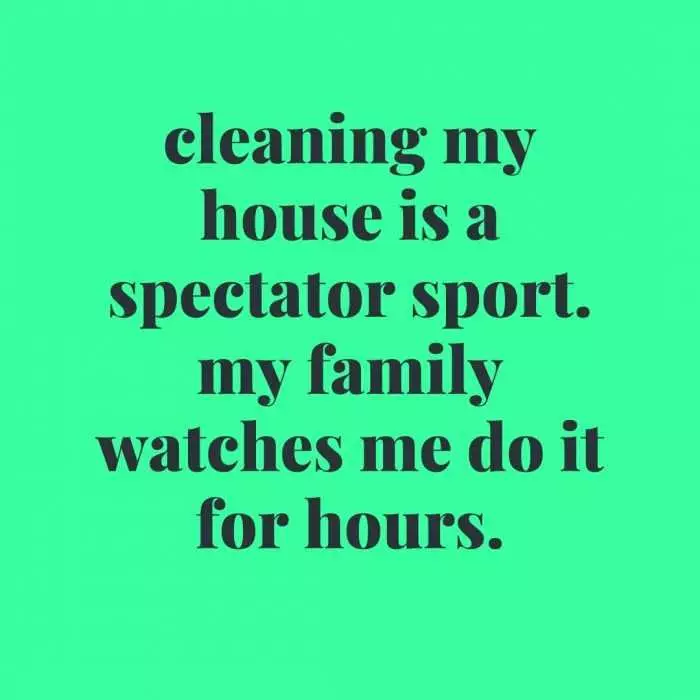 Quote Cleaning Spectator