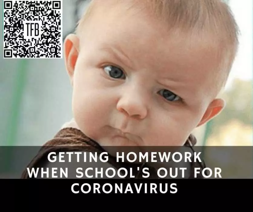 Funny School Canceled For Coronavirus Memes  Do School Work When School Canceled