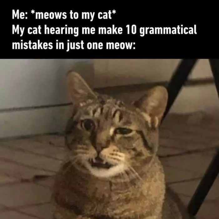 Cat 10 Grammar