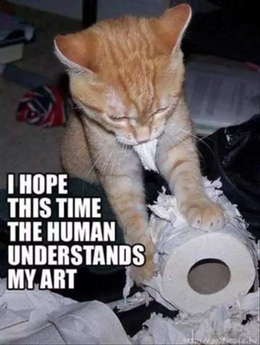 Cat Understands My Art
