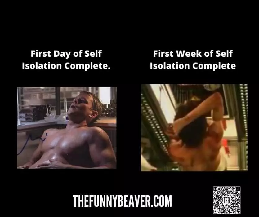 Lockdown Memes  Meme Showing Difference Between 1 Day Of Isolation Vs 1 Week Of Isolation