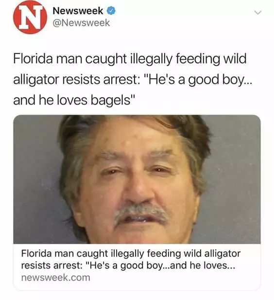 Florida Bagel