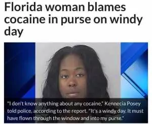 Florida Blames Purse