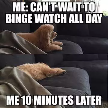 Funny-Cant-Wait Funny Cant Wait