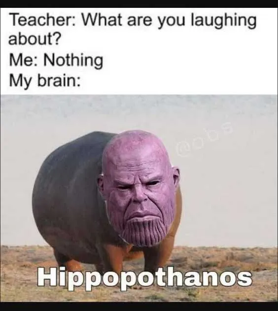 Funny-Hippo-Thanos Funny Hippo Thanos