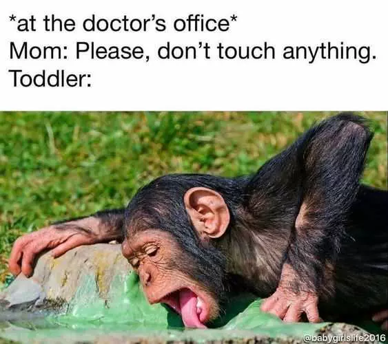Funny Lick Doctor