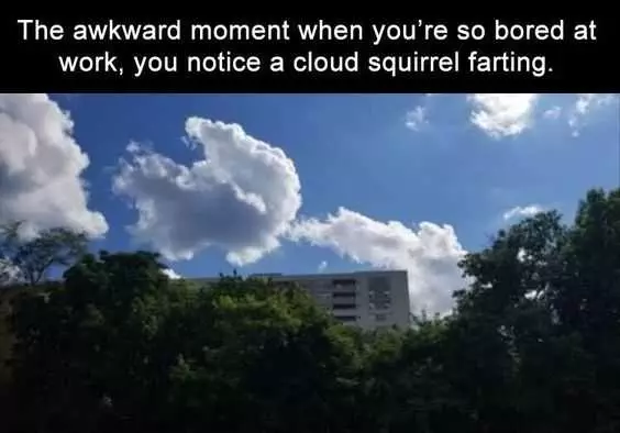 Funny Squirrel Cloud