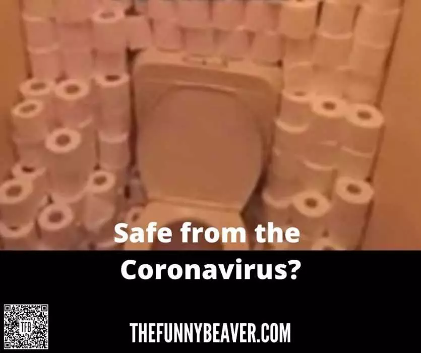 Corona Virus Toilet Paper Hoarding Memes  Staying Safe