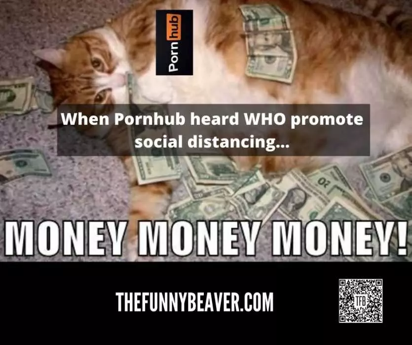 Funny Making Money From Crisis Memes  Pornhub Making Bank