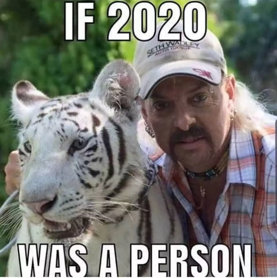 Tiger King Memes  If 2020 Was A Person