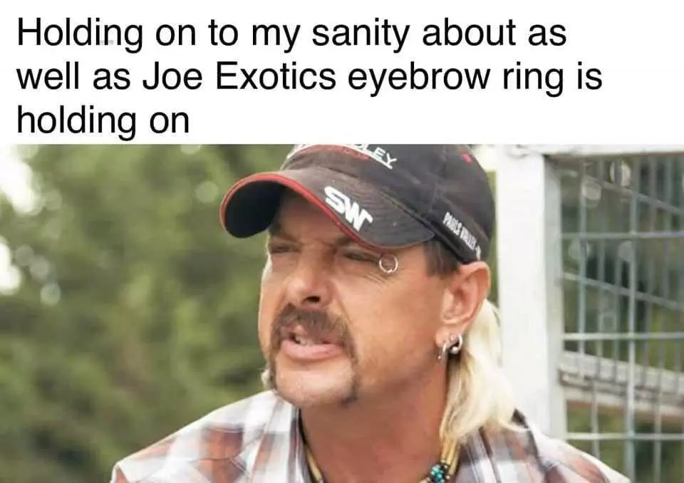 Tiger-Eyebrow Tiger King Memes Joe Exotics Eyebrow Ring