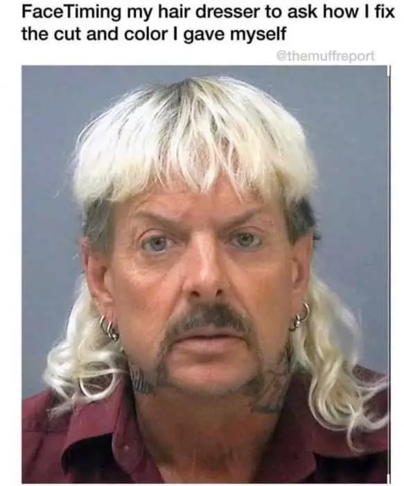 Tiger-Face-Timing Tiger King Memes Facetiming Hair Dresser