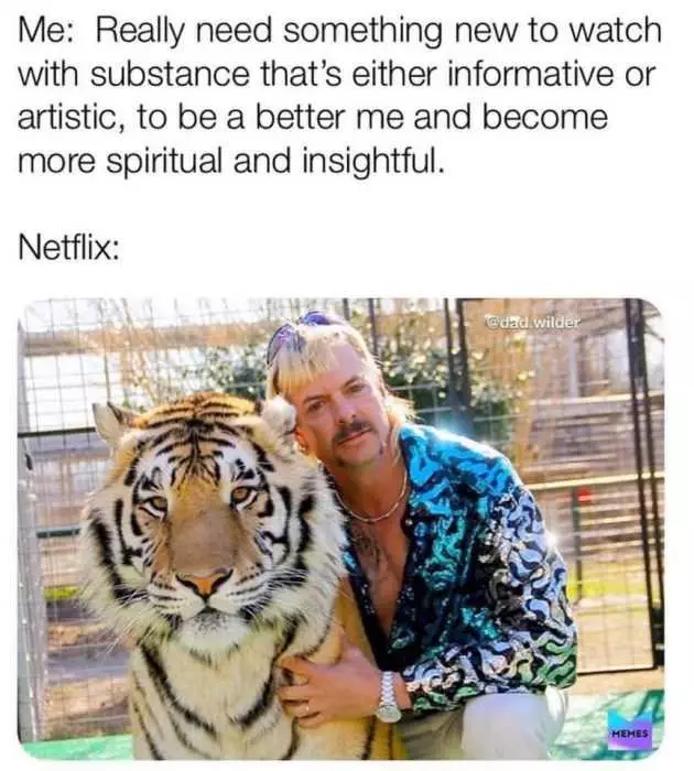 Tiger King Memes  Tiger King On Netflix