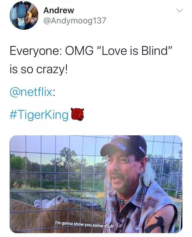 Tiger-Show-You-Stuff Tiger King Memes Love Is Blind Vs Tigerking