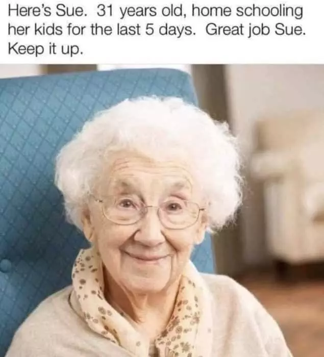 Homeschooling Memes  31 Year Old Sue Looks Like She'S 71 After Homeschooling Her Kid For 5 Days.