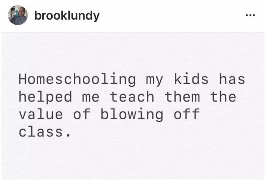 Homeschooling Memes  Teaching Kids To Blow Off Class During Homeschool