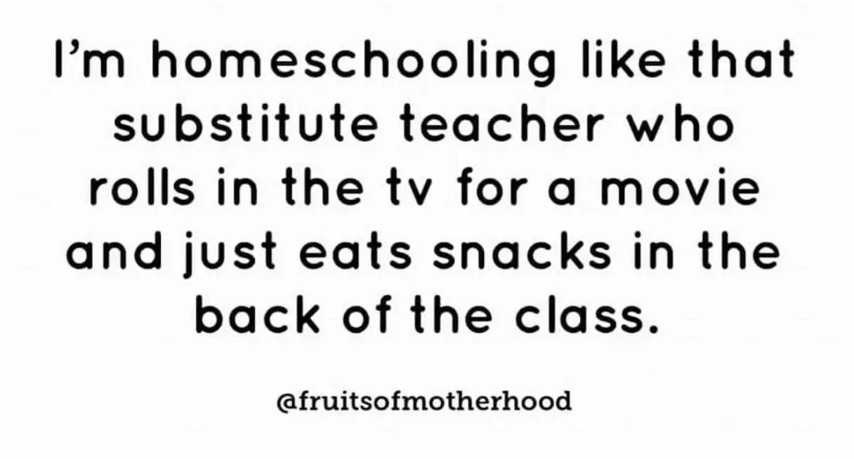 Homeschooling Memes  Homeschooling Like A Substitute Teacher Who Shows Movies