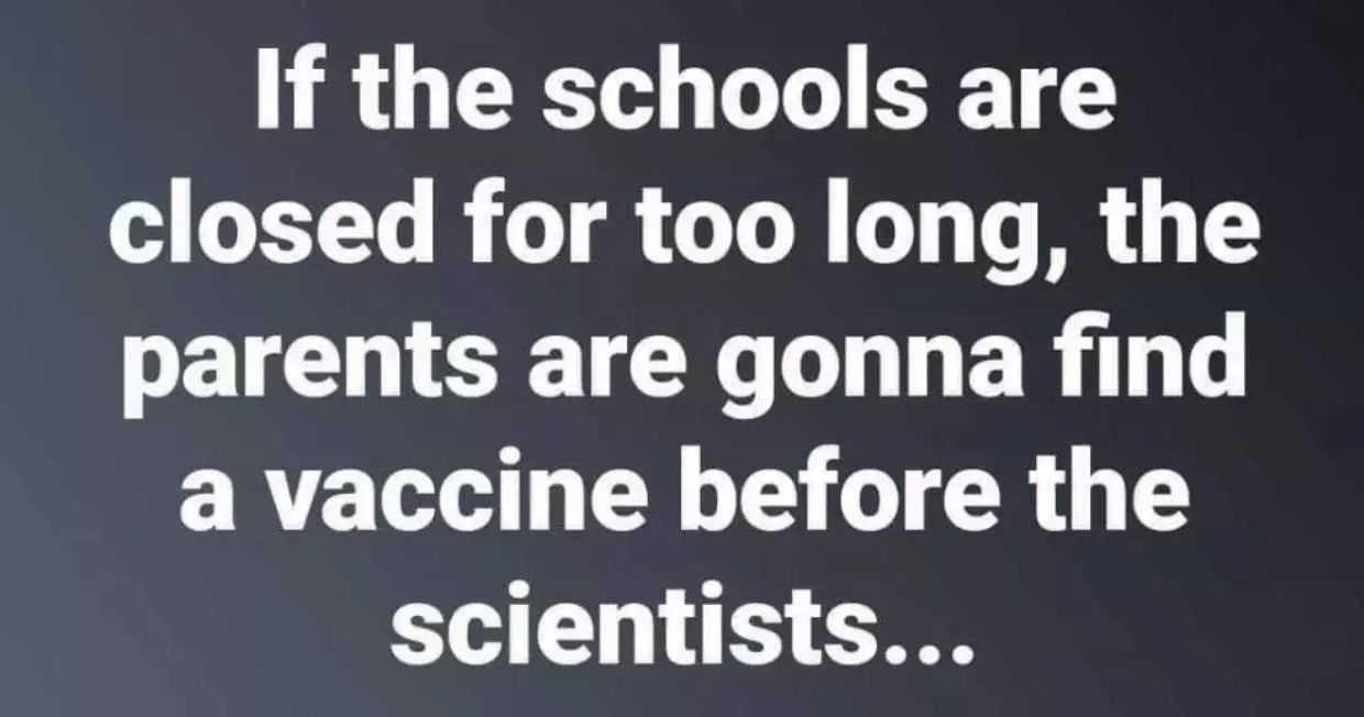Homeschooling Memes  Parents Might Beat Scientist In Finding Vaccine