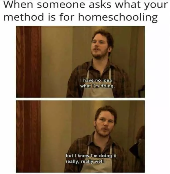 Homeschooling Memes  How To Homeschool Like A Boss