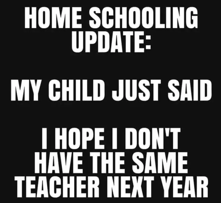 Homeschooling Memes  Child Hopes Not To Have Same Teacher For Next Year