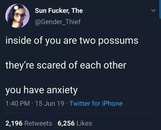 Anxiety Two Possums