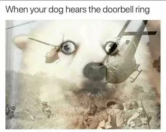 Funny Door Bell