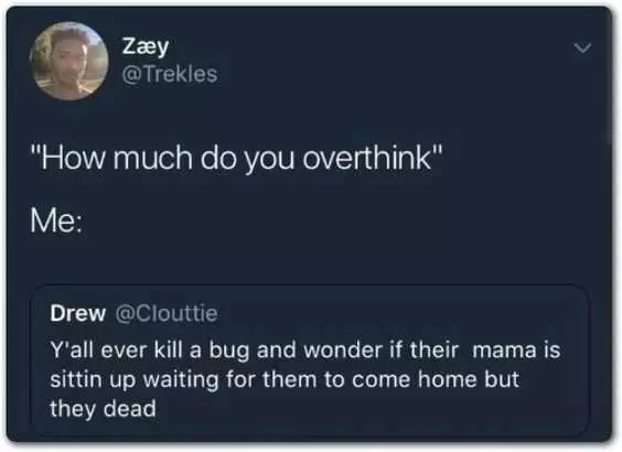 Funny Ever Kill A Bug